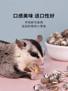 Sugar Glider Tank Bug Snack 蜜袋鼯坦克虫