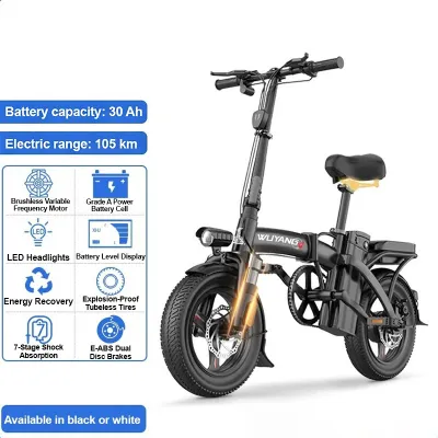 New Life 48V 30 Ah Long-Range Foldable Electric Bicycle with Wide Tires Bright Front Light LCD Display and Rear Carrier — Ideal for Manila Traffic Barangay Roads and Everyday Philippine Use