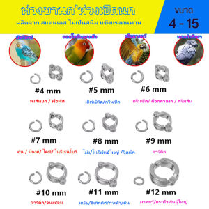 ห่วงขานกแก้ว ห่วงขานก ห่วงเปิดนก ห่วงเปิดปิดนก พร้อมตัวล็อคห่วงเปิด นกแก้ว หงษ์หยก ฟอพัส เลิฟเบิร์ด คอนัวร์ กรีนชี