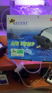 pompa udara aerator aquarium RECENT AA 40 cabang 2 kolam ikan akuarium 2 lubang