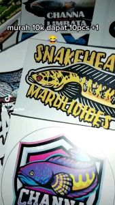 Stiker Channa Murah Isi 25 Pcs Anti Air Top Kualitas