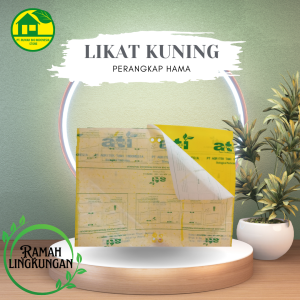 LIKAT KUNING Lembar pvc perekat 2 sisi terbaik 20x25cm