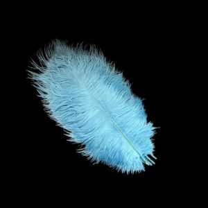 WUXU 10Pcs 15-20cm Ostrich Feathers Stage Props Table Accessories Ostrich Plumes Gifts DIY Feather Accessories Wedding Decoration