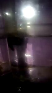 Toples 2 Liter Isi 24: Ekstrak Daun Ketapang Tanpa Minyak