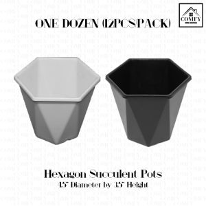 One Dozen4.5 Inches Hexagon Succulent/Corrugated Flower Pots Mini Cactus Diamond Pots (12pcs)