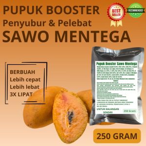 Pupuk Booster Sawo Mentega / Pupuk Booster Buah Sawo Mentega / Pupuk Sawo Mentega