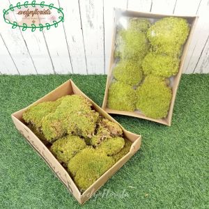 Lumut Box Lumut Imitasi Hiasan Tanaman Artificial Dekorasi Taman