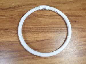 Bóng đèn vòng T5 huỳnh quang 22W-32W ánh sáng Trắng