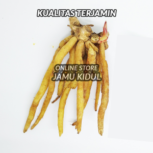 Temu Kunci Segar 100gr Organik - Bumbu masak