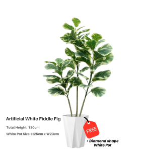 【SG Evergreen】FREE POT 🔥 Artificial Plant with Pot Large Fake Tree Fake Plants for Home Office Indoor Outdoor Decor Olive Tree Palm Tree Bamboo Plants Fig Plant