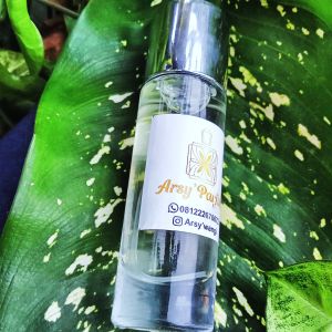 PARFUME SEPRAY 30ML QUALITAS PREMIUN AWET DDAN TAHAN LAMA PARFUME VIRAL PARFUME KEKINIAN