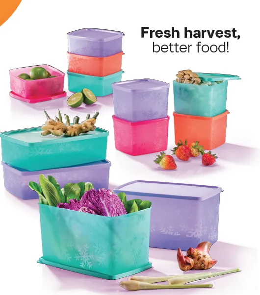 Tupperware Square Round Set 400ml/800ml/1.3L/2.8L - Fridge