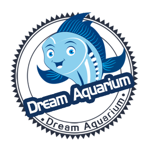 Aquarium fish tank Coral landscaping underwater world creative modeling simulation seabed