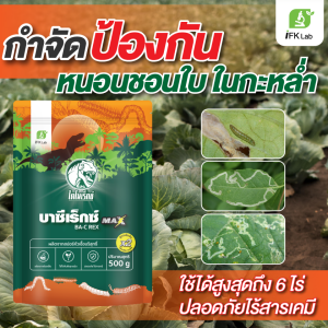 ป้องกันและกำจัด หนอนใยผัก ในผักตระกูลกะหล่ำ เช่น คะน้า กะหล่ำปลี กวางตุ้ง ด้วยชีวภัณฑ์ปราบหนอน BT เชื้อบาซิลลัส ทูริงเยนซิส หนอนตายไม่ดื้อ ปลอดภัย100%ใช้ได้บ่อย