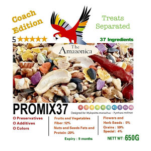 Promix37 quaker food conure food ring neck 650g monk’s parakeet quaker conure seed bird food mix parrots meal