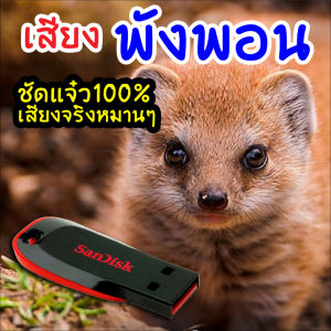 เสียงต่อพังพอน เมมเสียงพังพอน แฟลชไดร์ฟเสียงต่อพังพอน ชัดแจ๋ว 100% ไม่มีโฆษณาแทรก (MP3 เสียงต่อสัตว์) มีเก็บเงินปลายทาง