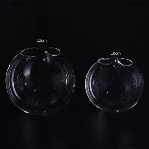 [COD] zhangyuqing Hanging Ball Flower Planter Vase Terrarium Container Landscape Bottle