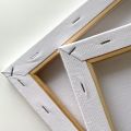 Renaissance Stretch Canvas All Purpose Painting Hobby Canvas Artist Rectangle White Canvas. 