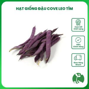 Hạt giống Đậu Cove leo tím - Gói 5gr khoảng 12 hạt - Nhập khẩu Thái Lan