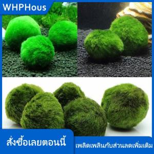 WHPHous ลูกบอลมอสมาริโมขนาด3-4ซม. พืชสดสาหร่ายบ่อเลี้ยงกุ้งเครื่องประดับสาหร่ายจำลองลูกบอลสีเขียวพืชเทียม