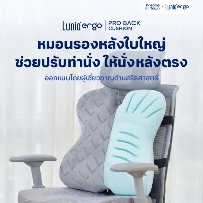 Lunio Ergo เบาะรองหลัง ใบใหญ่รองรับเต็มแผ่นหลัง ช่วยปรับท่านั่งให้หลังตรง ลดอาการออฟฟิศซินโดรม รุ่น Pro Back Cushion