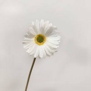 Artificial Flower Chrysanthemum Little Daisy Gerbera Silk Fake Flower Bouquet Party Decor Flower Home Decoration