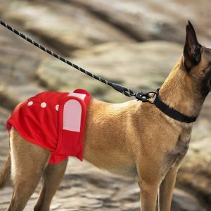 OUTOPEN Highly Absorbent Dog Physiological Pants Adjustable Breathable Pets Panties Diapers Washable Leakproof Pet Dog Underwear Pet Incontinence