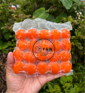 Telur Masin Kuning F&N LIVESTOCK (Grade C)