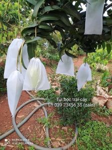 [ 100 Cái 20*30cm ] Túi Bao Bọc Trái Xoài Xoài Keo Xoài Tứ Quý Cát Hòa Lộc.. Túi Bọc Trái Cây