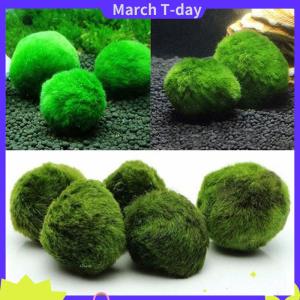 March 3-4cm marimo rêu quả Bóng Sống Aquarium thực vật tảo cá tôm bể trang trí mô phỏng màu xanh lá cây tảo quả bóng cây nhân tạo