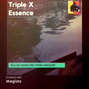 Essen oplosan TRIPLE X untuk ikan mas lomba galapung galatama kilogebrus dan harian