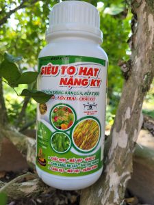 [THIEN THINH SHOP] Phân bón SIÊU TO HẠT NẶNG KÝ chuyên dùng cho nếp lúa tươi chai 500ml nguyên liệu ngoại nhập