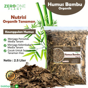 Humus Bambu Media Tanaman Hias Aglonema Philodendron Monstera Alami Fermentasi Pupuk Daun Kering