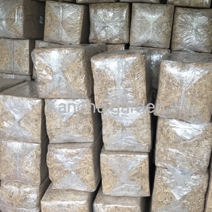 สแฟกนั่มมอสชิลี 4.5-5 kg. เกรด 7a/5a คุณภาพพรีเมียมสำหรับปลูกพืชหายาก