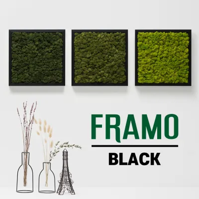 Scandiamoss Moss Frame Framo | 34 X 34cm | Black Frame and 25 Moss Color Variations Wall Deco Frame Green Wall Deco Frame
