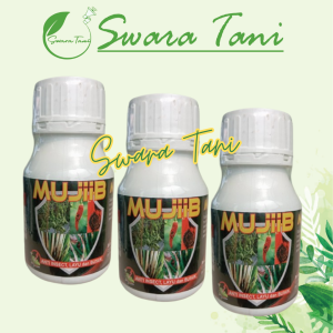 Insektisida Sistemik MUJIB 250ml Cegah layu Bakteri Fusarium dan Busuk Akar