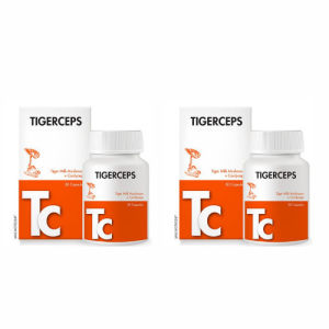 限时促销 TIGERCEPS Tiger Milk Mushroom and Cordyceps Capsules Enhance Respiratory System Immunity 【Buy Three Get One Free】 Shipped within two days