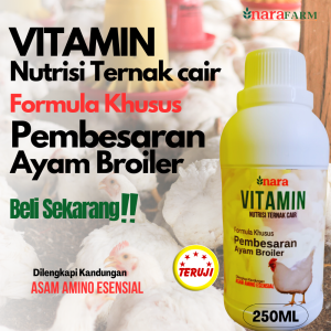 Vitamin Ayam Broiler Obat Ayam Vitamin Penggamuk Ayam Suplemen Penambah Nafsu Makan.Vitamin ayam