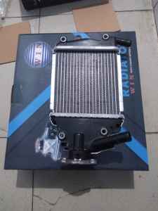 Radiator Assy VARIO 125 MERK WIN