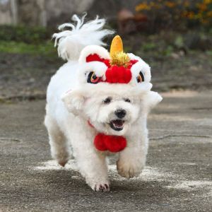 FDGED สไตล์จีนจีน หมวกสิงโตเต้นรำสำหรับสุนัข อบอุ่นและอบอุ่น ตกแต่งด้วยการตกแต่ง หมวกสุนัขสิงโต อุปกรณ์สวมศีรษะสุนัข นุ่มนุ่มๆ หมวกสิงโตปีใหม่สำหรับสัตว์เลี้ยง สำหรับแมว/ลูกสุนัข