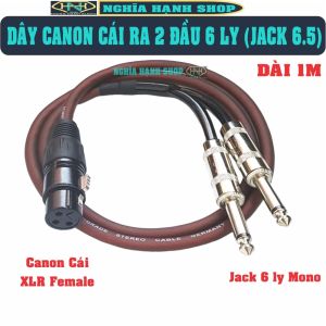 Dây Canon XLR Cái ra 2 Đầu 6.5 (6 Ly) Mono dài 1M - Dây Canon Cái ra 2 đầu 6 Ly - Dây 2 đầu Jack 6.5 ra Canon XLR Cái - Cáp 2 đầu 6 Ly ra Canon Cái - XLR Female to Dual 1/4 inch Male 6.35mm Mono TS Plug Audio Cable