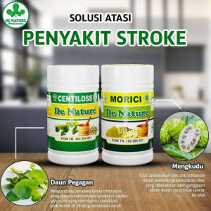 Obat Stroke Strok Paling Ampuh Sebelah Kiri Kanan Herbal Struk Ringan Ampuh Cina Penyumbatan Darah Centilos Morici DeNature Asli