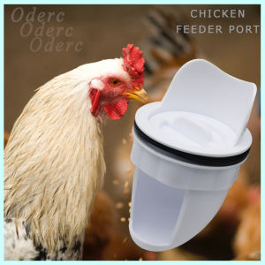 AUTOMATIC CHICKEN FEEDER PORTS (4pcs/box) WITH HOLE SAW