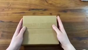 DMEGC Battery No. 5 Smart Lock Pas Fingerprint Lock Battery Diving Electronic Sphygmomanometer Gas Meter Alkalin5号碱