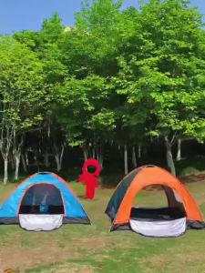 Outdoor 2 Person Tent Lightweight Portable Waterproof UV Protection Easy Setup for