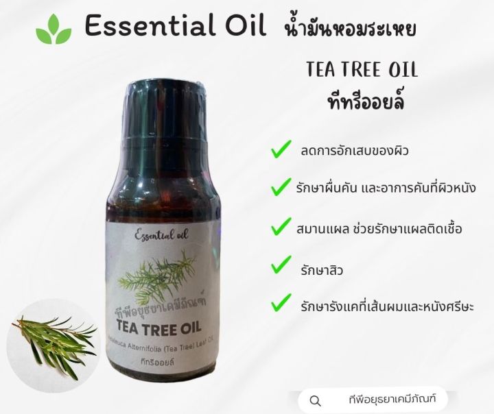 น้ำมันหอมระเหย ทีทรีออยล์  Tea Tree oil  Essential Oil, ทีทรีออยล์