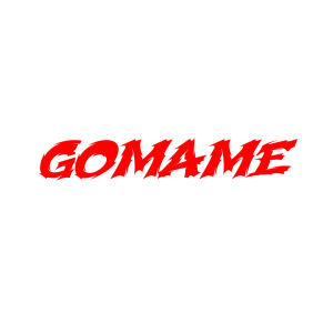 Metal Jig 80g Williamson Gomame Jig Umpan Jigging