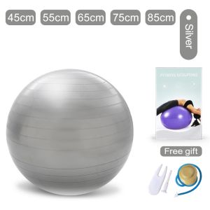 【SG】VIVA Anti-Burst Yoga Ball 55/65/75cm Birthing Ball Pregnancy Exercise Ball Stability Balance Ball with Free Air Pump