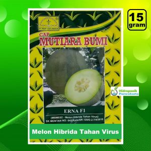 Benih Melon ERNA F1 Cap Mutiara Bumi 15 Gram Tahan Gemini Virus Semi Oval