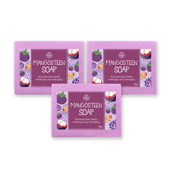 3 PCS Bendurya Mangosteen Soap infused with Virgin Coconut Oil (100g)